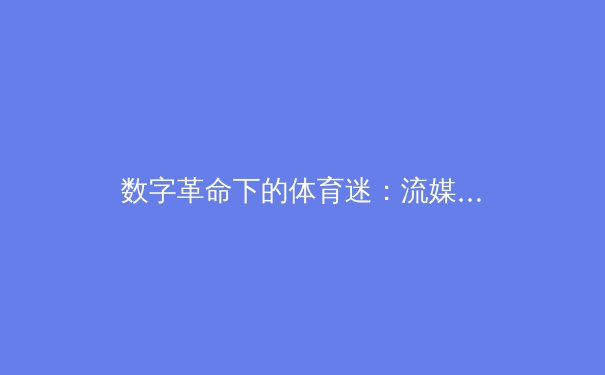 数字革命下的体育迷：流媒体与社交媒体如何重塑观赛体验与产业格局 - 2